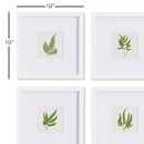 NAPA Home & Garden, FOREST GREENERY PETITE PRINTS, SET OF 4,NNH516