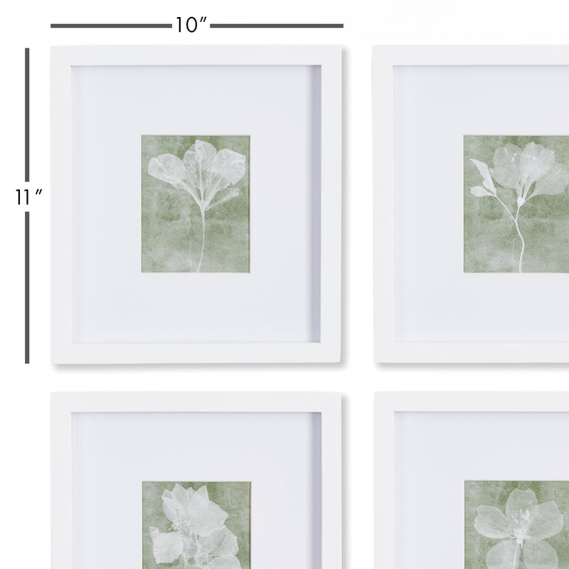 NAPA Home & Garden, TRANSLUCENT FLORAL PETITE PRINTS, SET OF 4,NNH518