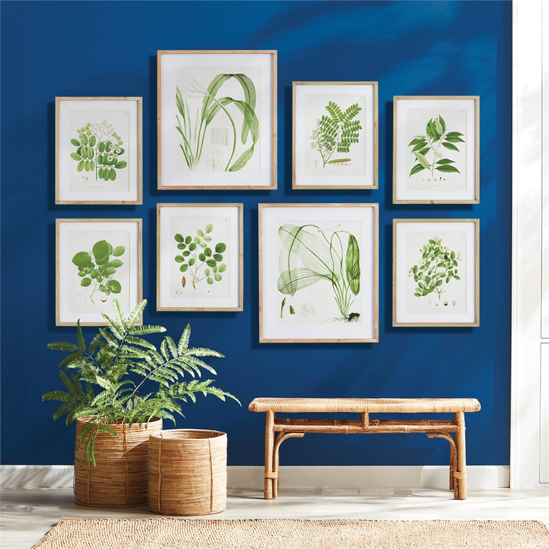 Napa Home Garden, AQUATIC LEAF PRINTS ,SET OF 2,nnh521