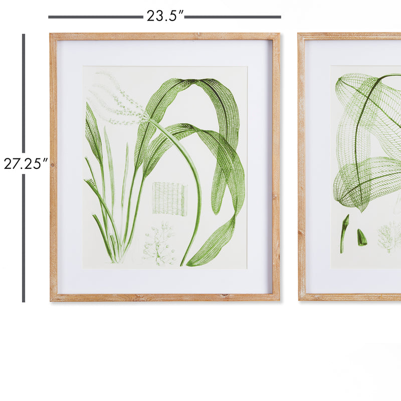 NAPA Home & Garden, AQUATIC LEAF PRINTS, SET OF 2,NNH521