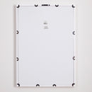 NAPA Home & Garden, DAISY PRINTS, SET OF 4,NNH522