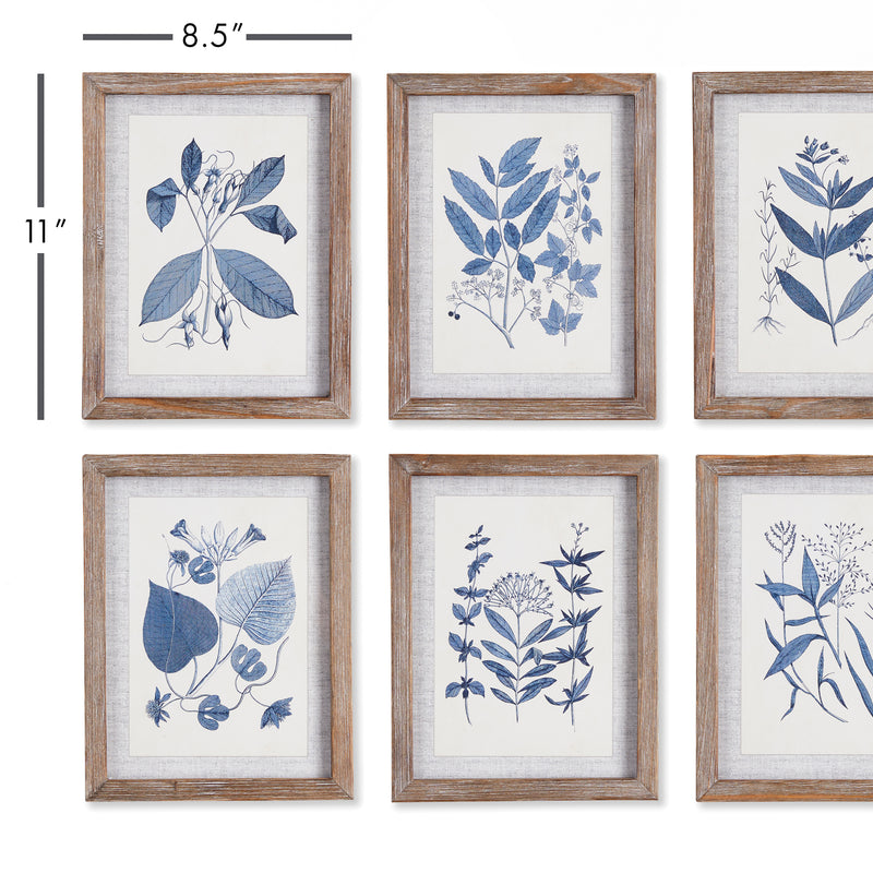 NAPA Home & Garden, BLUE LEAF PETITE PRINTS, SET OF 6,NNH524