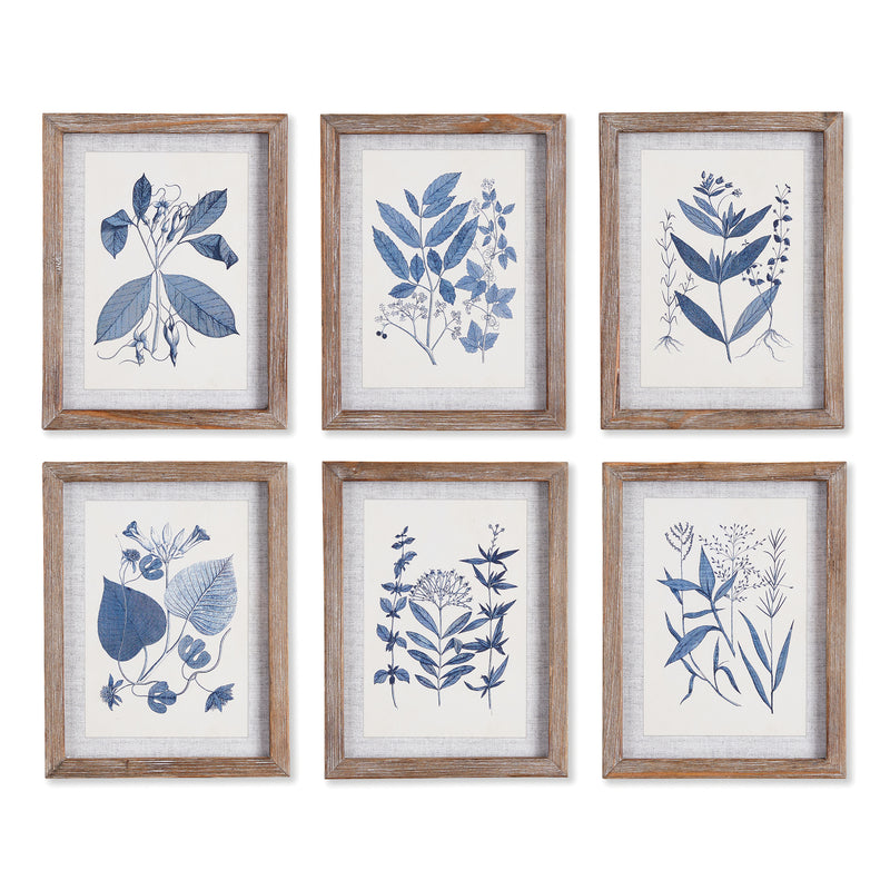 NAPA Home & Garden, BLUE LEAF PETITE PRINTS, SET OF 6,NNH524