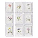 NAPA Home & Garden, GARDEN MEADOW STUDY, SET OF 9,NNH525