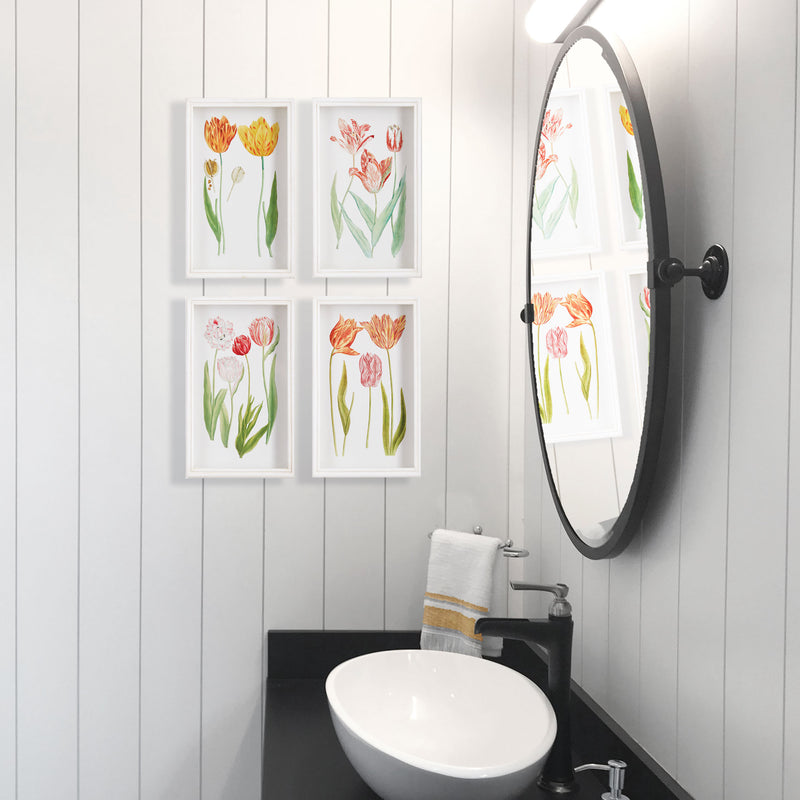 NAPA Home & Garden, TULIP PRINTS, SET OF 4,NNH526