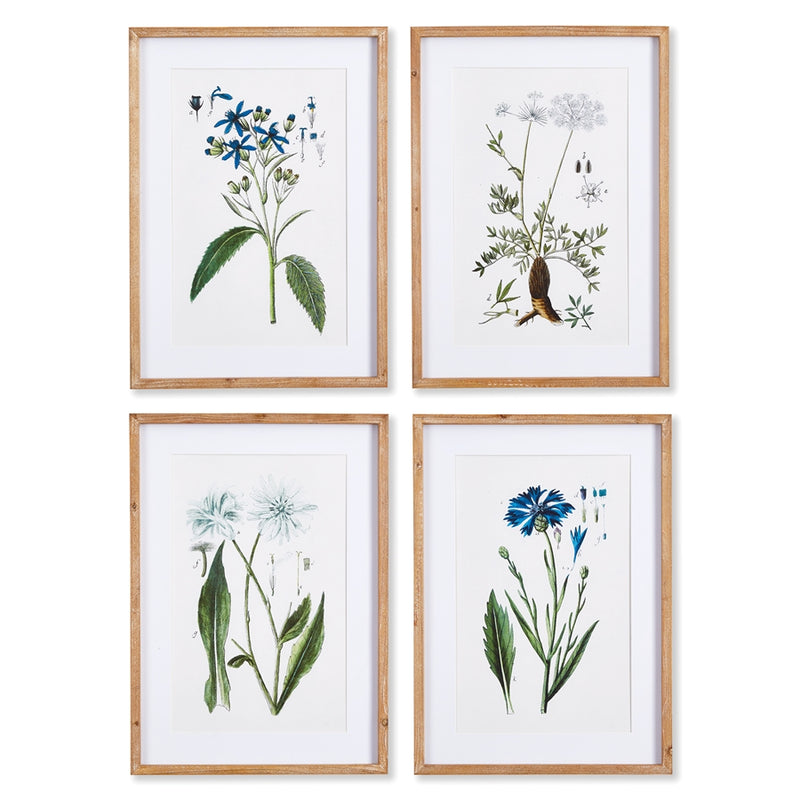 Napa Home Garden, MOUNTAIN BOTANICAL PRINTS ,SET OF 4,nnh527