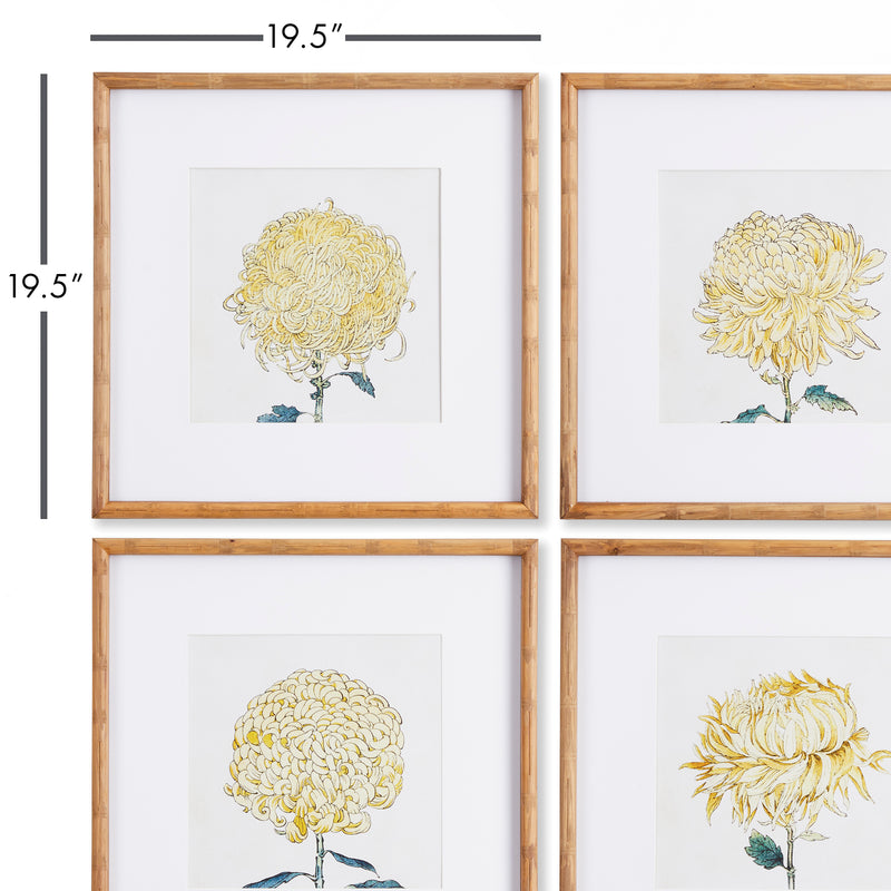 NAPA Home & Garden, CHRYSANTHEMUM PRINTS, SET OF 4,NNH530