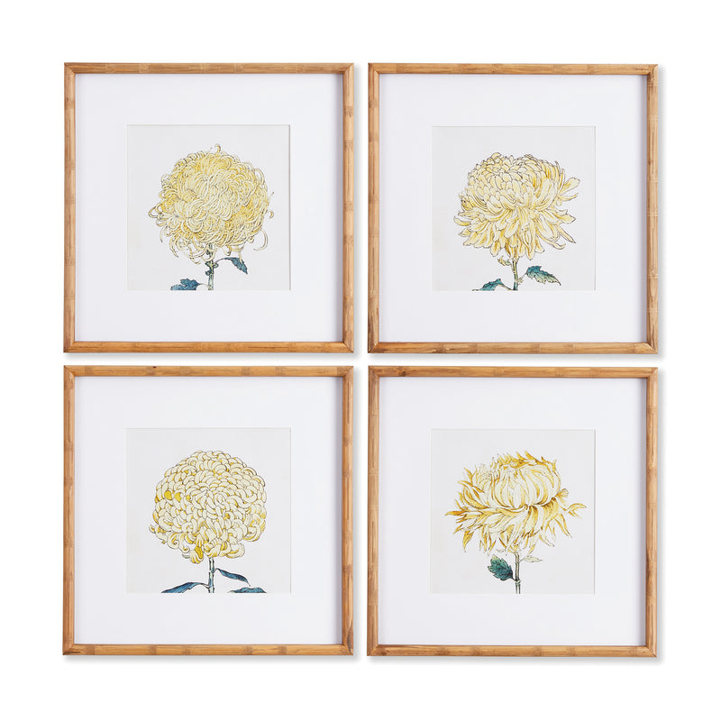 NAPA Home & Garden, CHRYSANTHEMUM PRINTS, SET OF 4,NNH530