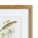 NAPA Home & Garden, PERCHING BIRD STUDY PETITE, SET OF 4,NNH539