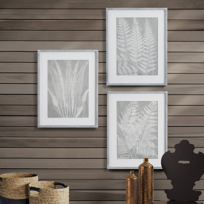 NAPA Home & Garden, FERN FROND PRINTS, SET OF 3,NNH544