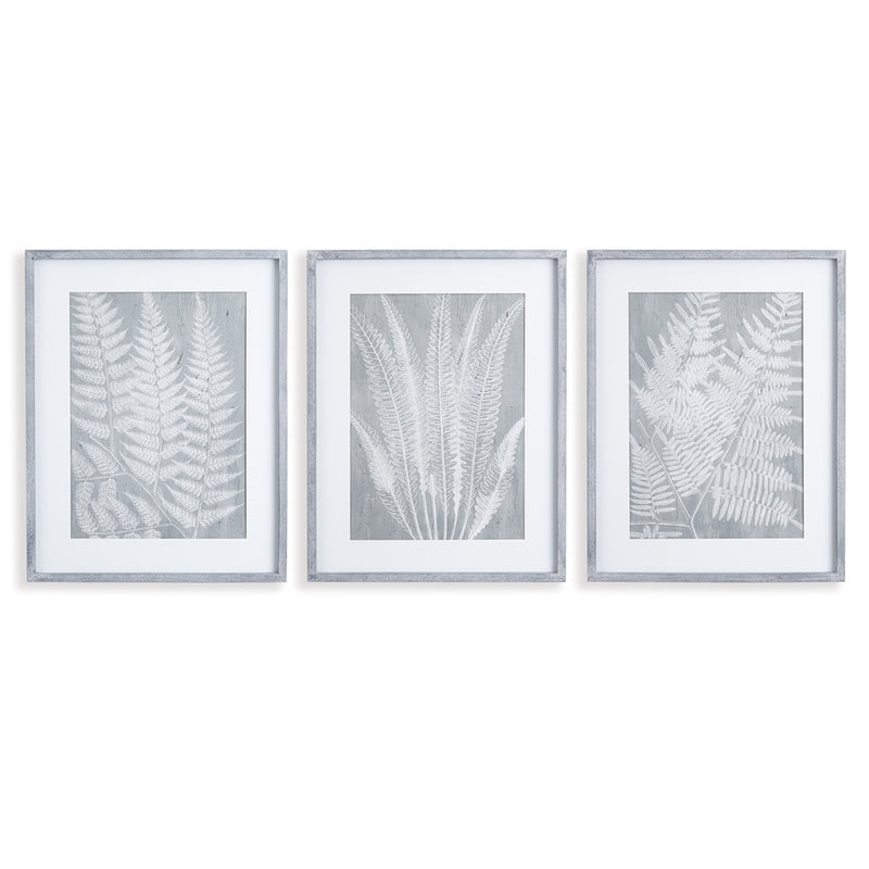 Napa Home Garden, FERN FROND PRINTS ,SET OF 3,nnh544