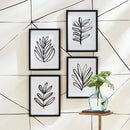 NAPA Home & Garden, SKETCHED LEAF PRINTS, SET OF 4,NNH545