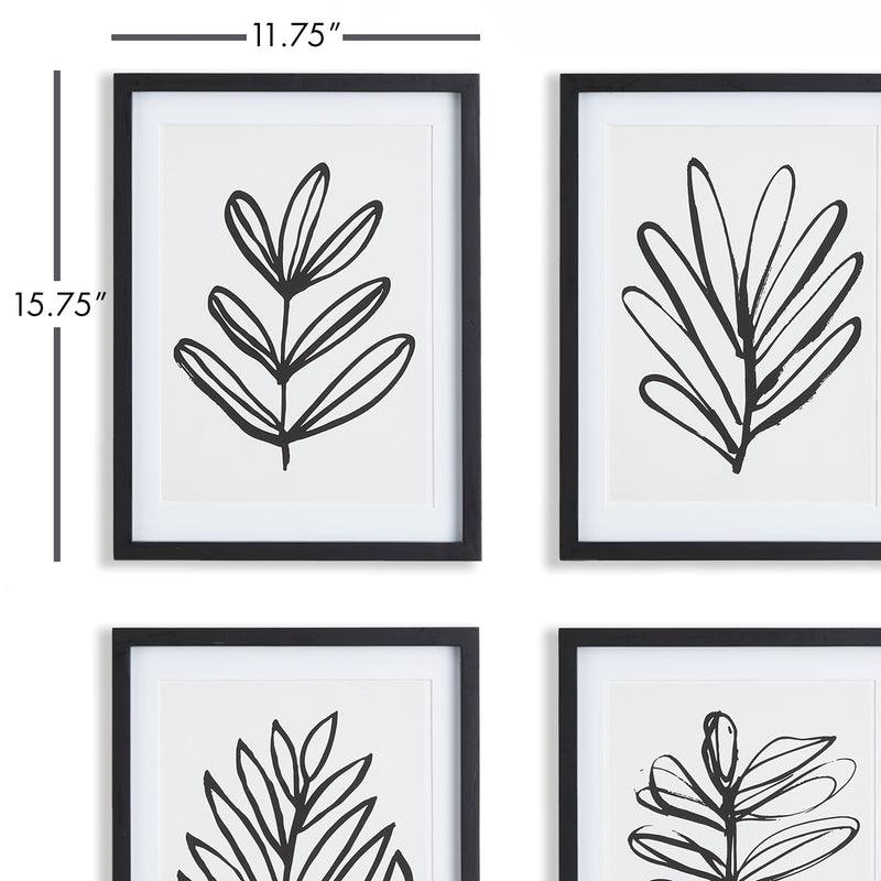 NAPA Home & Garden, SKETCHED LEAF PRINTS, SET OF 4,NNH545