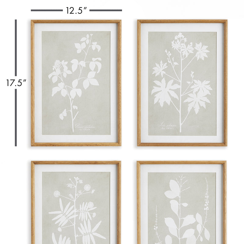 NAPA Home & Garden, FOLIAGE STUDY, SET OF 4,NNH548