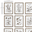 NAPA Home & Garden, RUSTIC FOLIAGE STUDY, SET OF 9,NNH550
