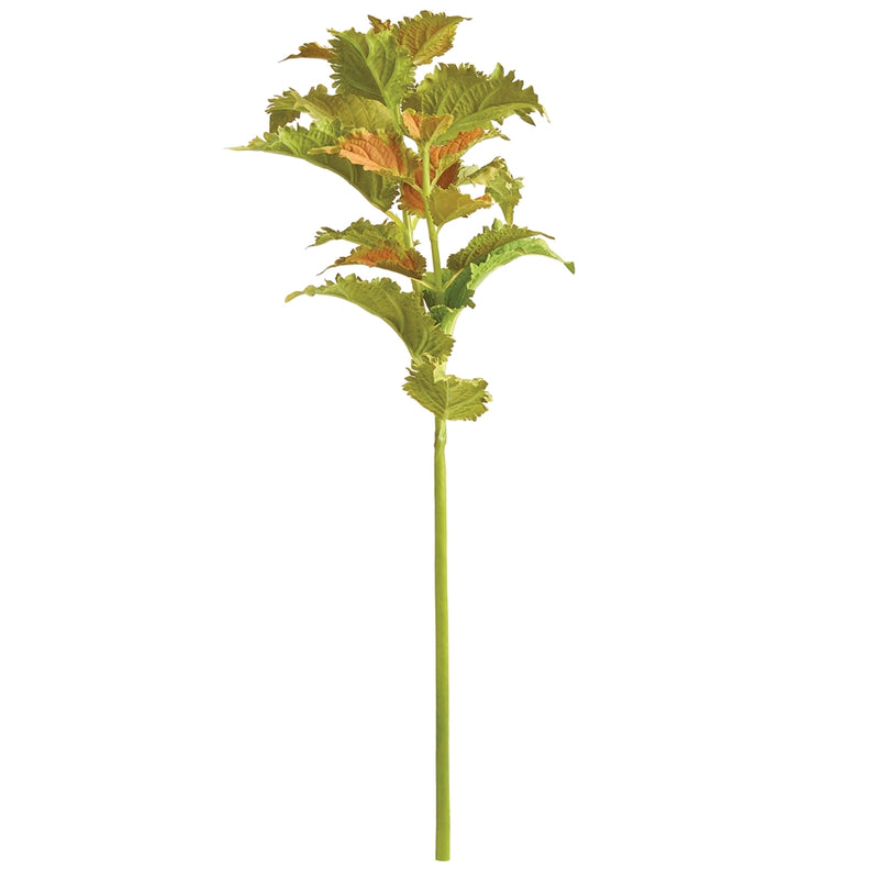 Napa Floral Collection-Coleus Stem 22 inches Green