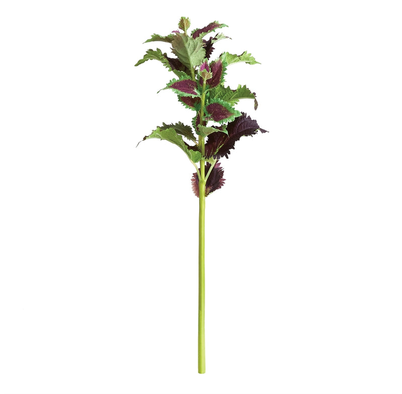 Napa Floral Collection-Coleus Stem 22 inches Plum