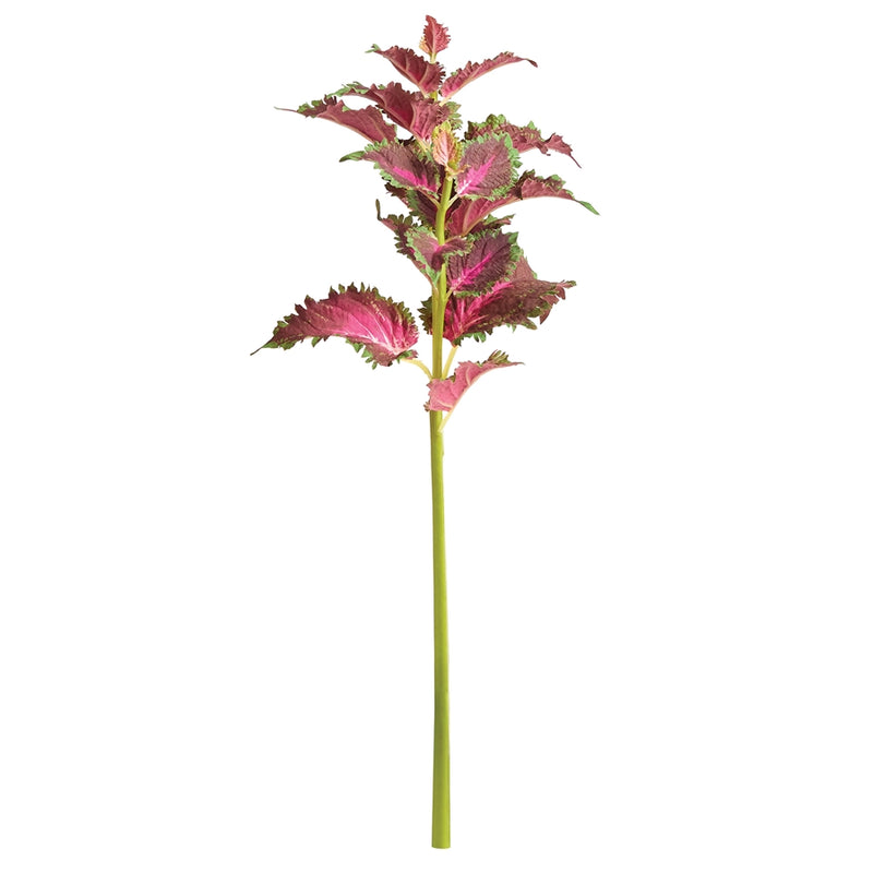 Napa Floral Collection-Coleus Stem 22 inches Red