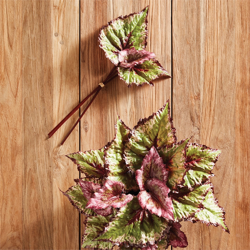 Napa Floral Collection-Begonia Leaf Stems , Bundle of 3 Pink