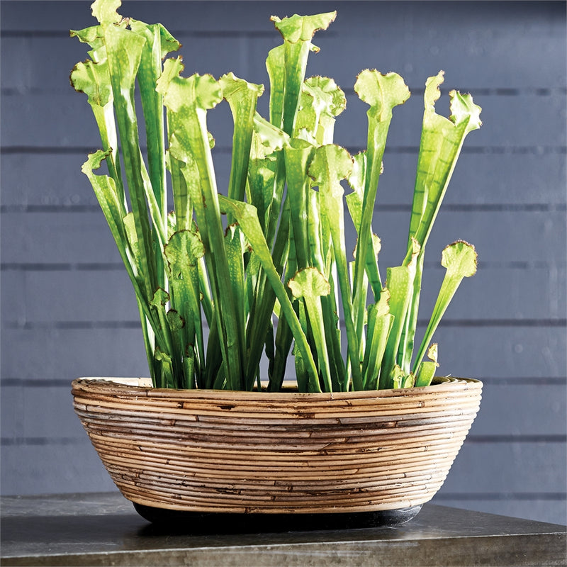 Napa Home Garden, WRAPPED DRY BASKET OVAL PLANTER,nv210