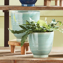 NAPA Home & Garden, AUBREY POTS Collection