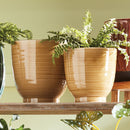 NAPA Home & Garden, AUBREY POTS Collection