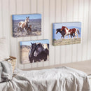 Canvas, Horse,  8" H x 10" L