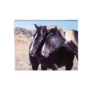 Canvas, Horse,  8" H x 10" L