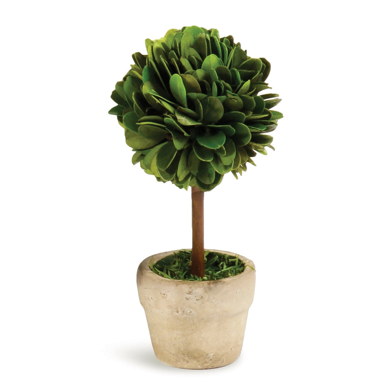 Napa Floral Collection-Boxwood Mini Single Ball Topiary In Pot