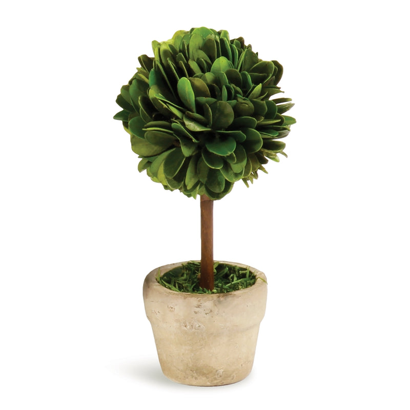 Napa Home Garden, BOXWOOD MINI SINGLE BALL TOPIARY IN POT,pg401