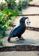 Metal Crow Statuary with Skull,phc296