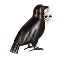 Metal Crow Statuary with Skull,phc296