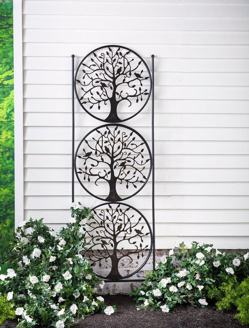 Evergreen Landscaping Details,Tree of Life Trio Trellis,24x0.6x80 Inches
