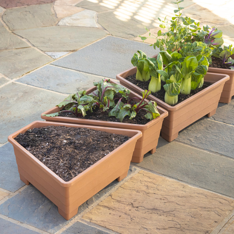 L-Conversion Raised Beds,Set of 4,phf000