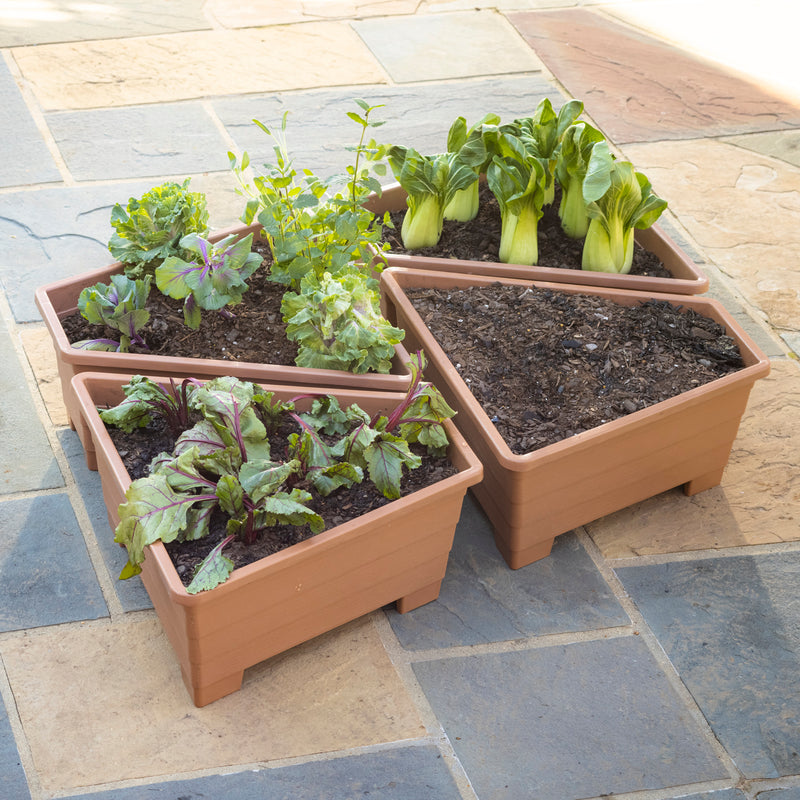 L-Conversion Raised Beds,Set of 4,phf000