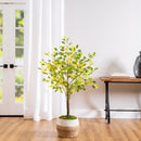 Indoor/Outdoor LED Ficus Tree  4'