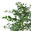 Indoor/Outdoor LED Ficus Tree 6'