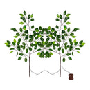 Indoor/Outdoor Micro LED Lighted Ficus Branches