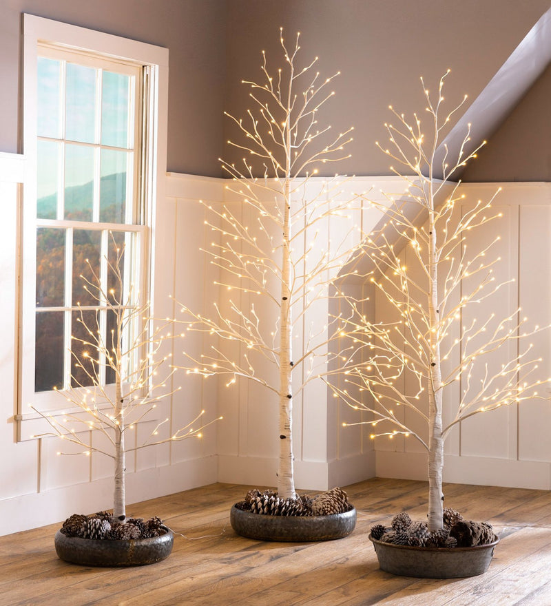 6'H Indoor/Outdoor Birch Tree with 256 White and Multicolor Lights,phl904