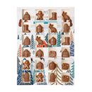 Hello Winter Advent Calendar Chocolate