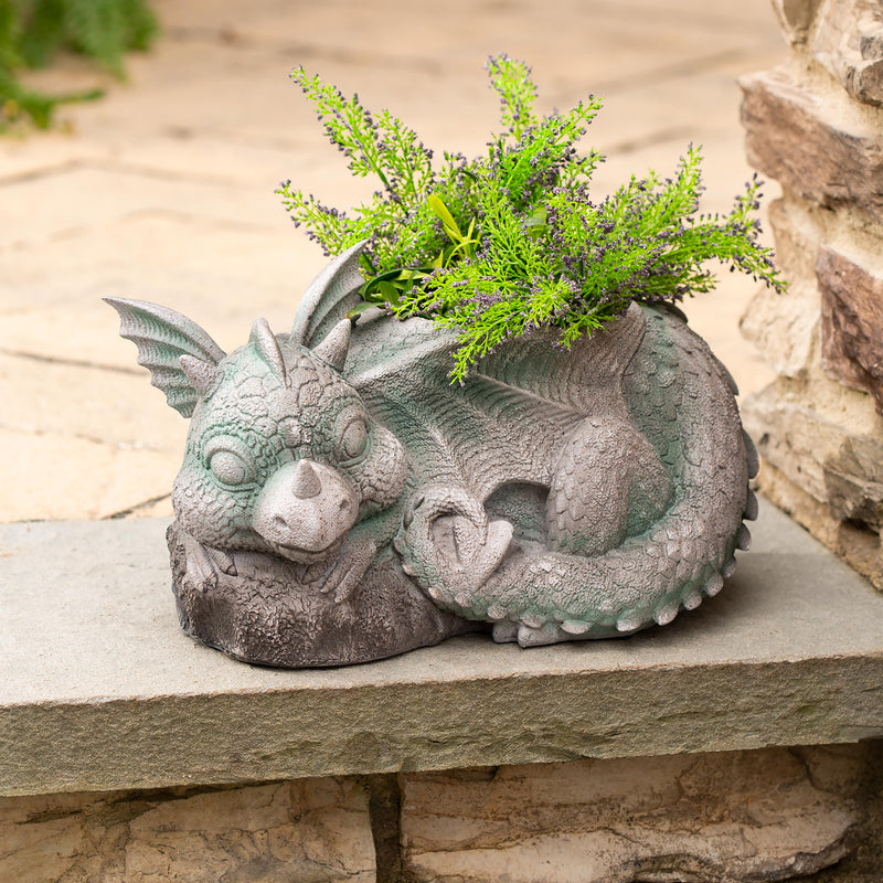 Sleeping Baby Dragon Planter