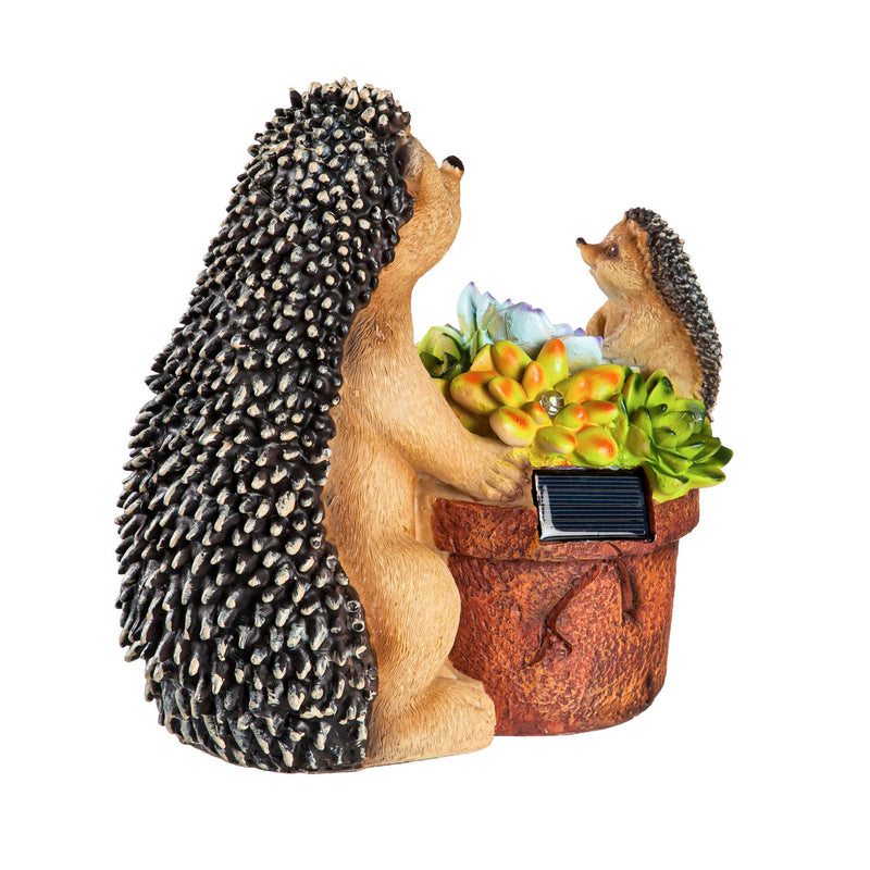 Solar resin  statuary,  succulent hedgehog family,q50892