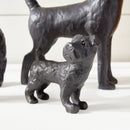 NAPA Home & Garden, LITTLE PACK Collection