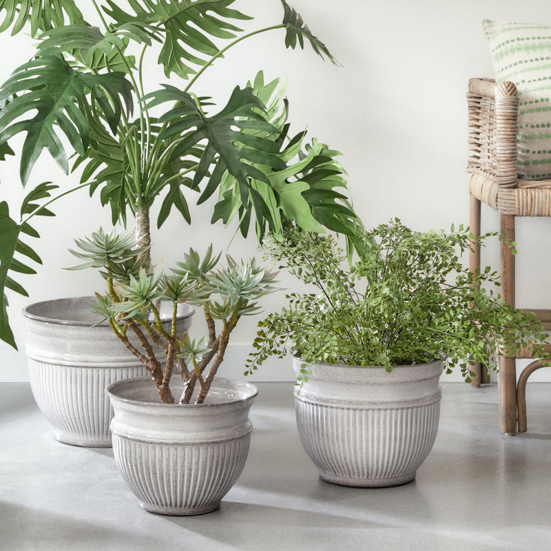NAPA Home & Garden, CAMELIA POTS Collection
