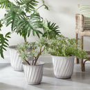 NAPA Home & Garden, LEILANI POTS Collection