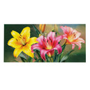 Colorful Daylily Sassafras Switch Mat