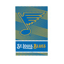 St Louis Blues 2025 Plock, Down Home Fans, 8x12