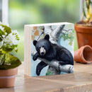 High Country Bear Family Wood Sign Plock, Mama Bear, 6"x6"