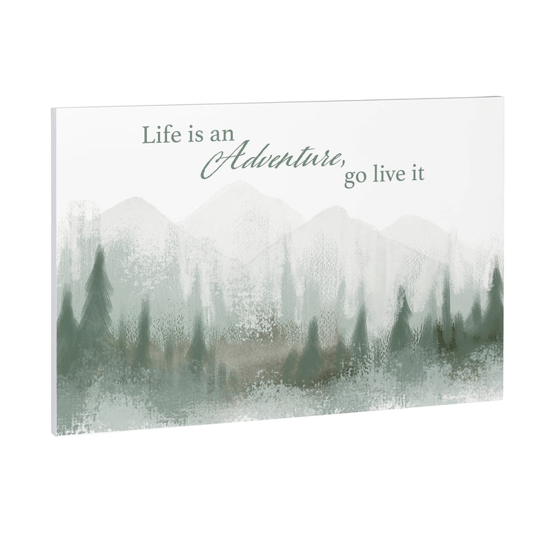 High Country Painting Indoor Wall Decor, Wood, "Life Is An Adventure Go Live It", 24"x16"