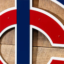 Minnesota Twins Layered Metal Wall Art
